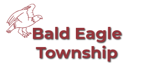 Bald Eagle Township logo (1)